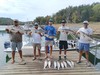 (08/22/2026) - Nice Striped Bass